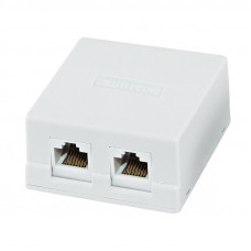 Розетка компьютерная внешняя RJ-45, 2 гнезда, 8Р-8С, белая ТДМ ЭЛЕКТРИК